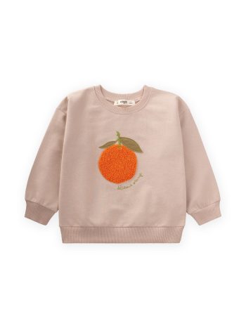 Süzene Nakışlı Sweatshirt 1-7 Yaş Bej