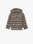 Boys' Striped Hooded Long-Sleeve Sweatshirt with Button Closure