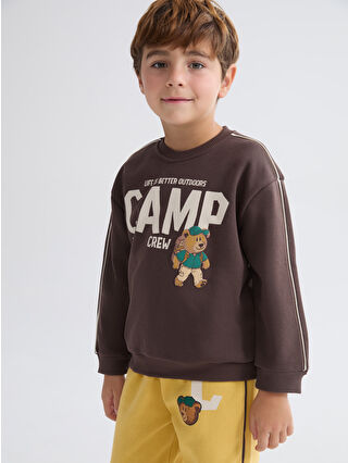 Brown Printed Boys' Thick Sweatshirt
