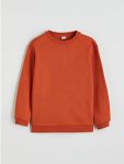 Brown Crew Neck Boys' Thick Sweatshirt