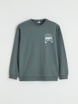 Grey Round Neck Printed Boys' Sweatshirt