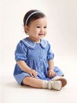 Blue Embroidered Baby Collar Checkered Girl Baby Dress