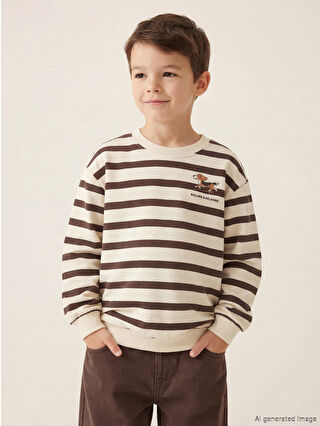 Brown Striped Boys Sweatshirt
