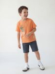 Orange Printed Boys T-Shirt and Shorts Set