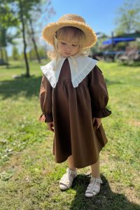 Ruffle Collar Dress in Coffee