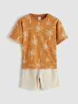 Brown Patterned Boys' T-Shirt and Shorts Set