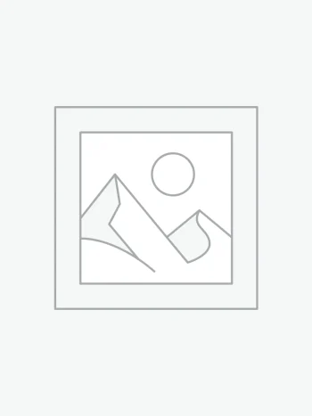 عنصر نائب Placeholder